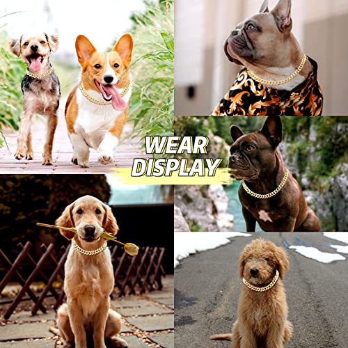 Flatfoosie Cuban Link Dog Collar Gold Silver Color Metal Dog Chain Collar Cuban Diamond Chain Pet Collars For Dogs Cats Jewelry 8/10/14/16/18/20/24/28 Inch (20Inch, Gold) #TOP5