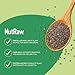 NutRaw Organic Chia Seed Bar, 12 Pack (1.4 oz) – Vegan Protein Bar with 8g Plant Protein & 6g Fiber – Clean Ingredient Chia Snack Bar, Gluten Free, No Added Sugar