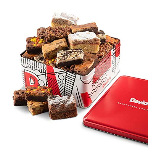 David’s Cookies Assorted Brownies & Crumb Cake Gift Basket Tin – Delicious, Fresh Baked Snacks, Gourmet Chocolate Fudge Slices, Yummy Flavors Ideal Gift for Corporate Birthday Fathers Mothers Day Get Well and Other Special Occasions – 3 lb (16 pcs)