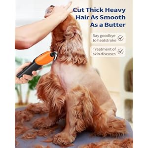Dog-Grooming-Kit-for-Thick-Heavy-CoatsDog-Clippers-for-Grooming-with-LED-DisplayHeavy-Duty-Rechargeable-Dog-TrimmerDog-Grooming-Supplies-with-Storage-BagQuiet-Cordless-Shaver-for-Cats-Pets - Cucciolini Doodles   Dog-Grooming-Kit-for-Thick-Heavy-CoatsDog-Clippers-for-Grooming-with-LED-DisplayHeavy-Duty-Rechargeable-Dog-TrimmerDog-Grooming-Supplies-with-Storage-BagQuiet-Cordless-Shaver-for-Cats-Pets