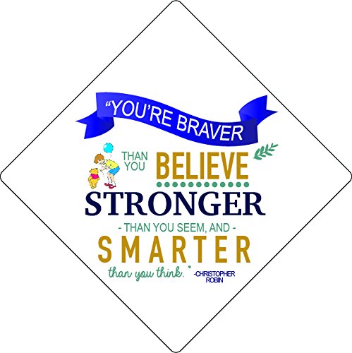 Winnie The Pooh Grad Cap Topper, Grad Cap Decorations #TOP1