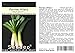 Produktbild Seedeo® Porree Hilary (Allium porrum L.) ca.150 Samen BIO