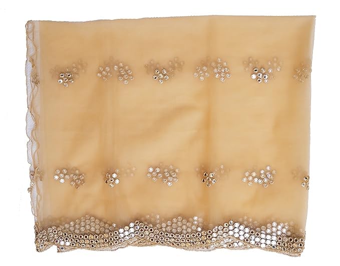 2.25Meter Net Fabric Embroidered Stylish Curve Plastic Mirror Work Embellished Indian Dupatta Chunni For Women Girls2