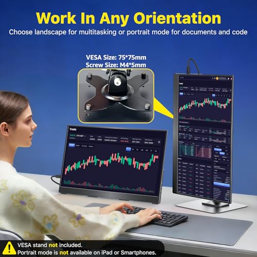 Portable Monitor for Laptop 17.3 Inch