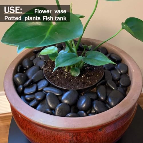 Image of Pebbles Stones for Plants Pots, Decorative Garden and Glass Pebbles, Table and Home Decor, Vase Fillers, Gravels Stone for Aquarium, Vase, Fountain Home Outdoor (Black) (480 GM)