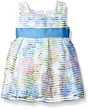 Sweet Heart Rose Baby Girls' Sleeveless Floral Striped Organza Box Pleated Dress