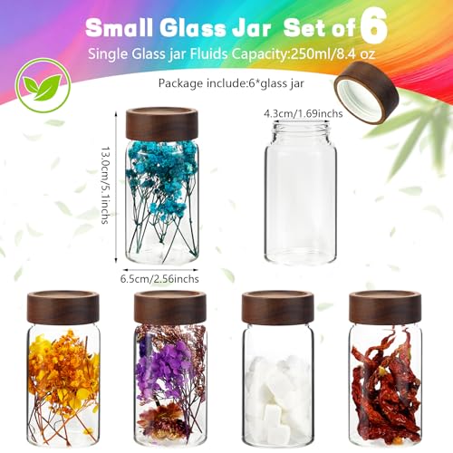 8oz Airtight Glass Jars Small Spice Storage Canister with Wooden Lid Clear Glass Food Container Canning Jar for Cookies Overnight Oats Yogurt Pantry Sugar Tea Coffee Bath Salts (6×250ml(8.4oz)) by Patoper - Used condition - Image 2