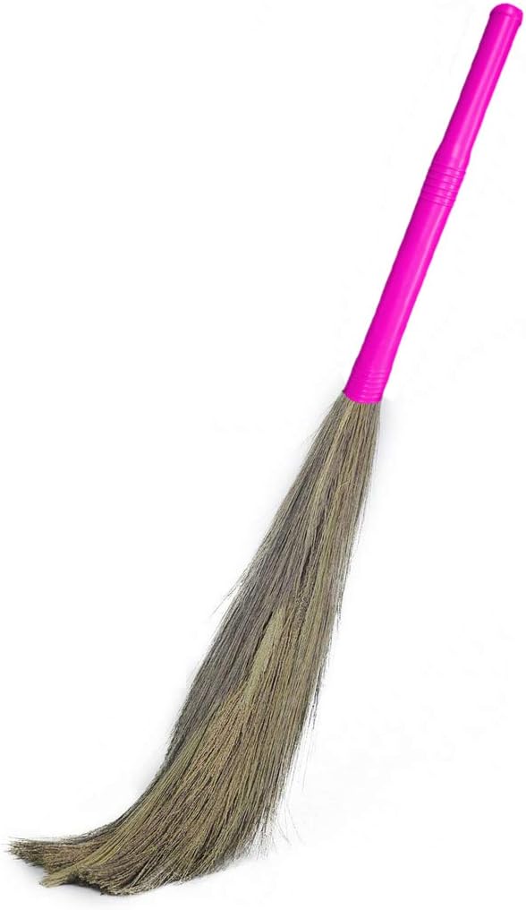 Signamio® Strong Plastic Handle Soft Grass Floor Broom Stick for Cleaning Floor, Kitchen, Garden - Indoor-Outdoor- 1 Pcs (Combo)- Pink - Pack of 1