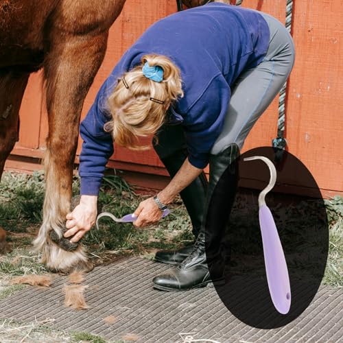 HANABASS Picareta De Casco De Cavalo Ferramenta De Limpeza De Ferradura Animal Equino Aliciamento De