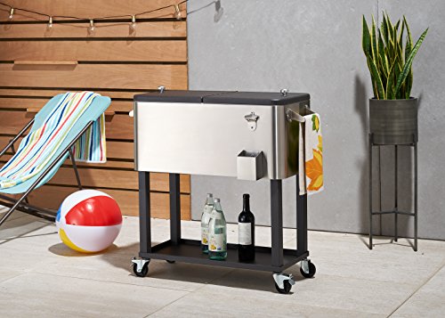 Commercial Stainless Beverage Cart