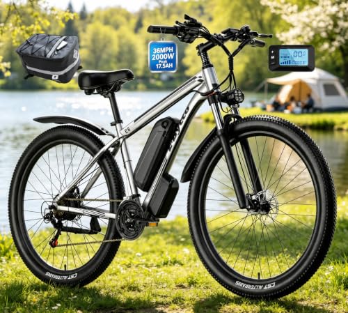 E·Bycco E8 29-Inch Mountain