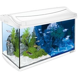 Tetra AquaArt LED aquarium complete set 60 liter – inclusief LED-verlichting, dag- en nachtlichtschakelaar, EasyCrystal…