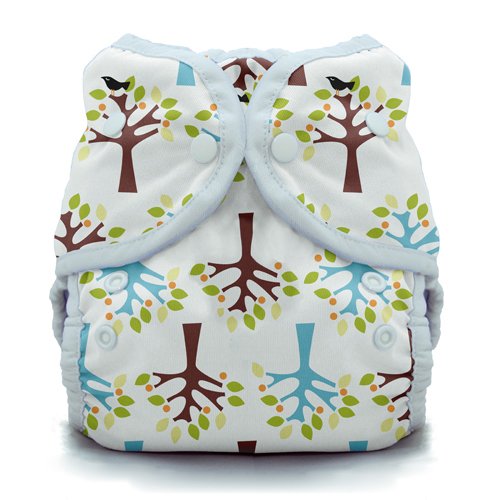 Duo Wrap Snap Diaper in Blackbird Size 1