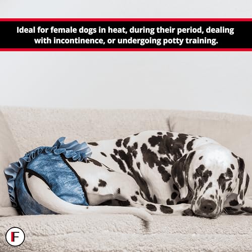 FINNERO Ballerina Läufigkeitshose für Hündinnen – Hundewindel mit Rock für Hündinnen – Schutzhose bei Läufigkeit und Harninkontinenz – Bequem, waschbar und stylisch – S, Beige