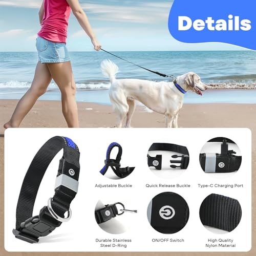RUXAN Leuchtendes Hundehalsband USB Aufladbar, LED Hundehalsband Wasserdicht mit 3 Modi Größe Einstellbar Sicherheit Hundehalsbands für Kleine Mittlere Große Hunde für Nacht Sicherheit
