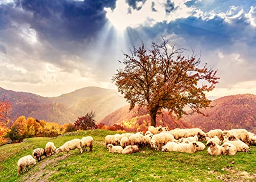 BELECO 7x5ft Fabric Bible Scene Sheep Backdrop Romanian Carpathians Mountain