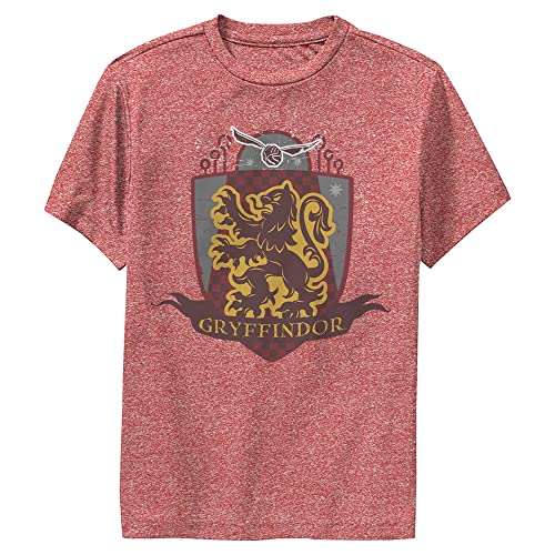 Harry Potter Kids Gryffindor Quidditch T-Shirt Red Heather Small