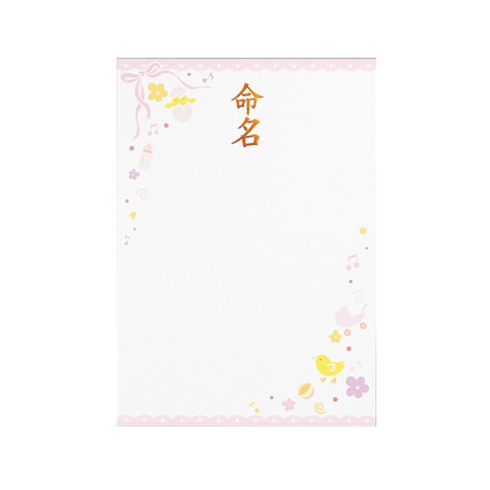 Amazon.co.jp: マルアイ 命名用紙 IJ命名用紙 A4 ピンク 3枚×10