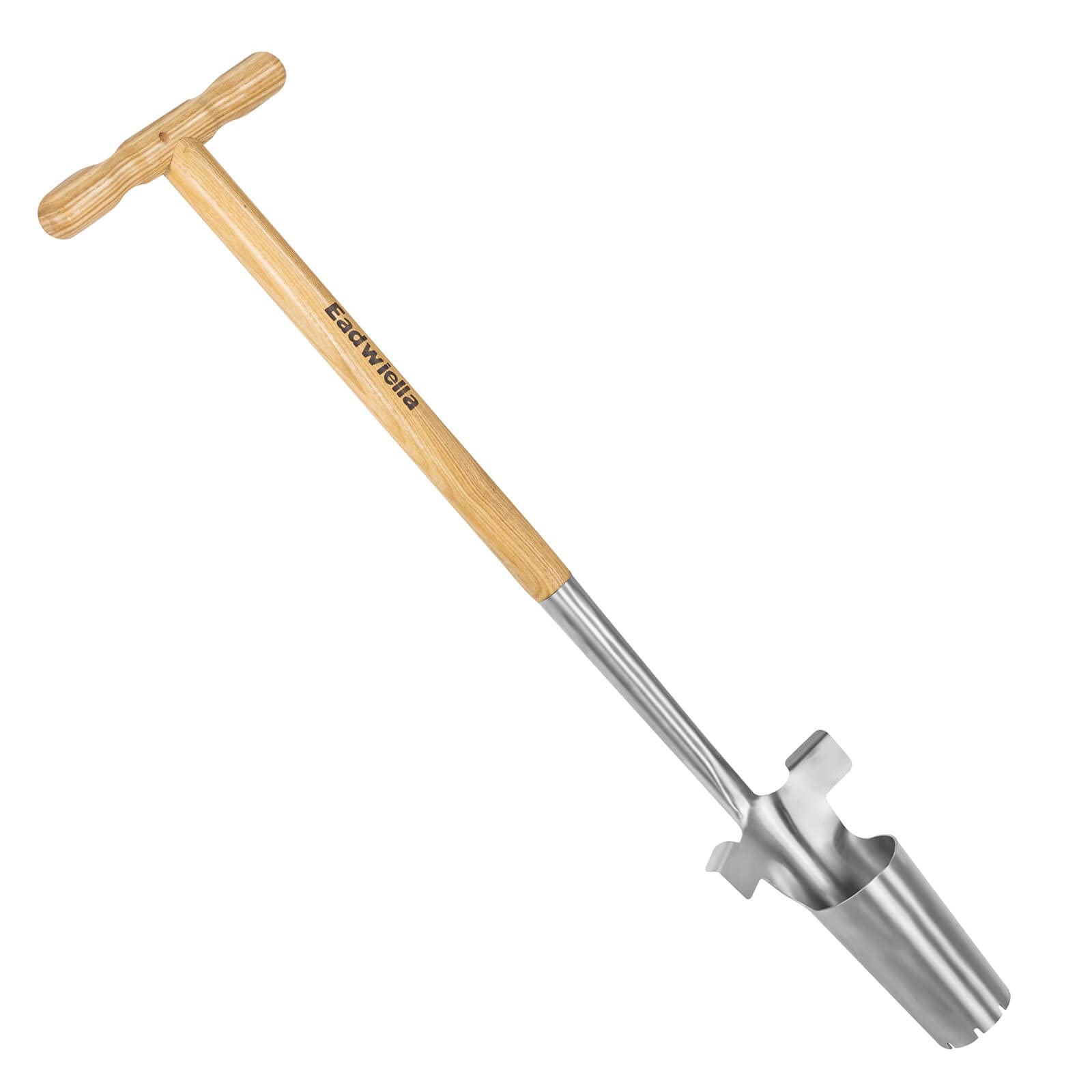 Eadwiella Long-Handle