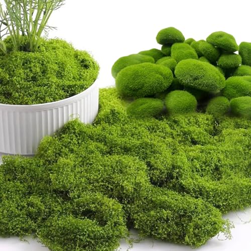 Luluvora Fake Moss for Crafts, Preserved Green Moss (150g/5.3OZ) for