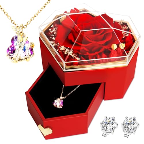 Ewige Rose Geschenkbox mit Kette, Behaltene Unendliche Rosenbox, Romantische Hochzeitstag Geschenke, Geburtstagsgeschenk für Mama, Schwester, Freundin