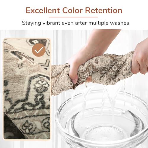 OPPODREAM Soft Area Rugs 3x5, Washable Rugs with Non Slip Backing, Low-Pile Throw 3x5 Carpet, Faux Cashmere 3 x 5 Carpet, Khaki