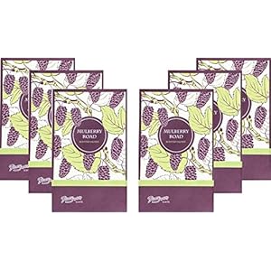 Mulberry Road Scented Sachets Pack of 6, Spring and Summer – Long-Lasting Scented Bags, Home Fragrance, Air Freshener & Deodorizer for Closet, Room, Drawer, or Cars, Made in USA