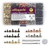 Alloygold 500 Sets Leather Rivets Kit, Double Cap Rivet in 5 Colors 3 Sizes (6 * 6mm,8 * 8mm,8 * 10m
