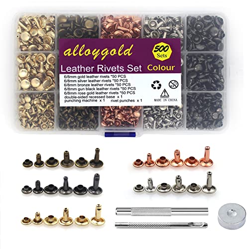 Alloygold 500 Sets Leather Rivets Kit, Double Cap Rivet In 5 Colors 3 Sizes (6 * 6Mm,8 * 8Mm,8 * 10Mm) ，Rivets For Fabric With Fixing Tools For Diy Leather Craft/Clothes/Shoes/Bags Decoration #TOP29