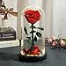 Mothers Day Flower Gifts for Mom,Beauty and The Beast Rose in Glass Dome,Preserved Real Rose with Warm Lighted,Forever Flowers Gifts for Women Grandma Mom Wife Girlfriend, Anniversary Birthday Gifts