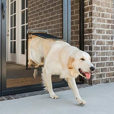 PetSafe Pet Screen Door - Dog and Cat Flap for Screen Door, Large, Window, Storm Door and Porch Use