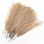 Pampas Grass Stem / Khaki 28 Pcs