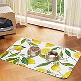 Branches de citronnier Exotiques à Motifs, délicieuses et délicieuses,Tapis d'alimentation pour Animaux de Compagnie, Sets de Table en Cuir PU pour Chats et Chiens,30x45cm