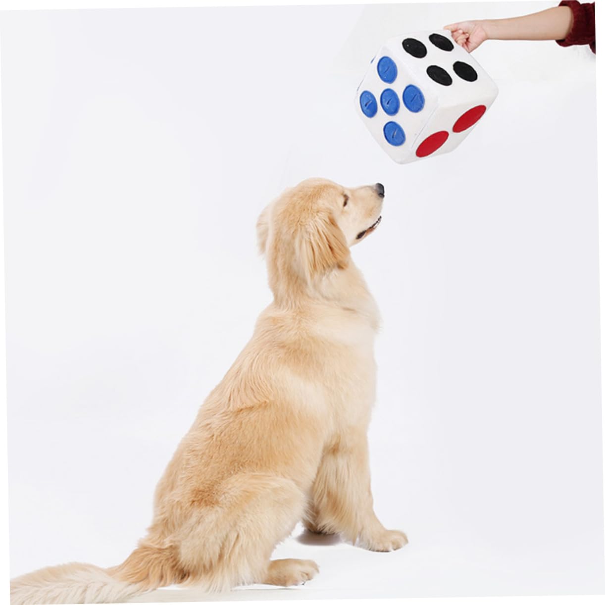 ibasenice Distributeur de Croquettes Forme de Dé Jouet Olfactif Anti-étranglement pour Animaux de Compagnie Distributeur Alimentation Lente