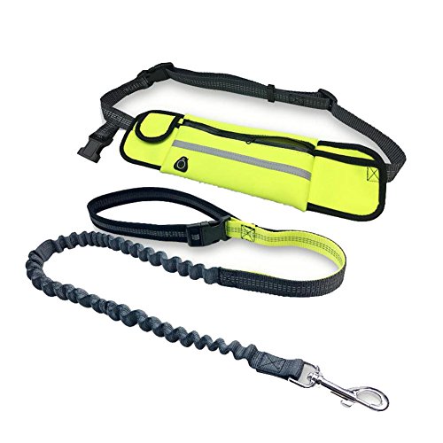 Peting Multi Function mains libres Nylon Dog Leash avec bande réfléchissante et imperméable à l'eau sac de rangement ceinture ajustable parfait pour courir, marcher, la formation