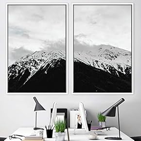 signwin 2 Piece Framed Canvas Wall Art Monochromatic...
