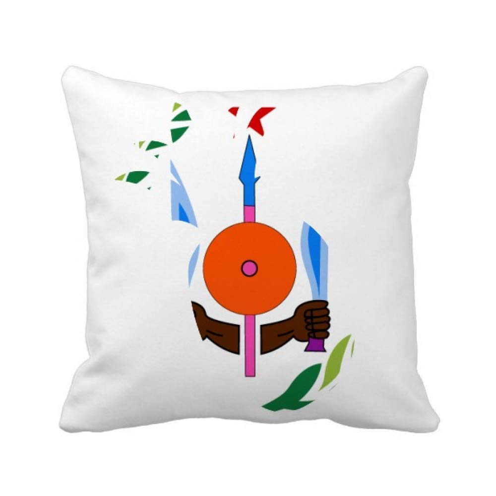 Djibouti emblème national housse de coussin carré personnalisable