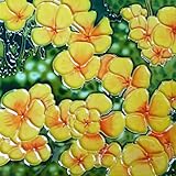 Flower Hand Painted Ceramic Art Tile 6x6 inches with Easel Back