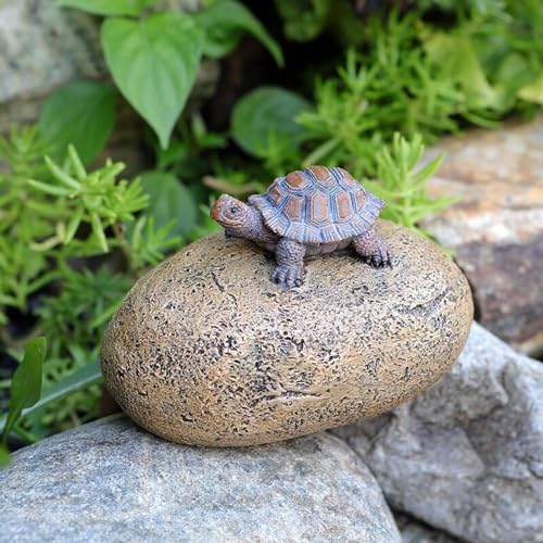key and hiding place for outdoors: stone key hiding place with secret compartment, geocaching spot, Turtle Stands on Stone - Image 3