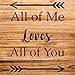 All of Me Loves All of You Stencil – Reusable Mylar Template for DIY Painting, Home Decor, Crafts, and Wall Art - Size A1 (24.8