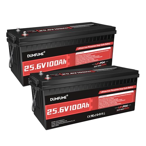 Image of 2 Pack Dumfume 24V 100Ah LiFePO4 Lithium Battery 100A BMS,2560WH Rechargeable Lithium Iron Phosphate Battery Perfect for RV, Solar, Off-Grid, Camping, Home Backup