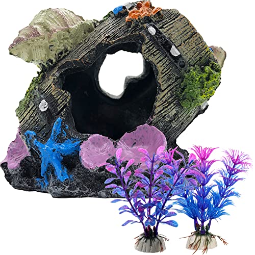 Top 10 Ornaments For Betta Fish of 2022 Katynel