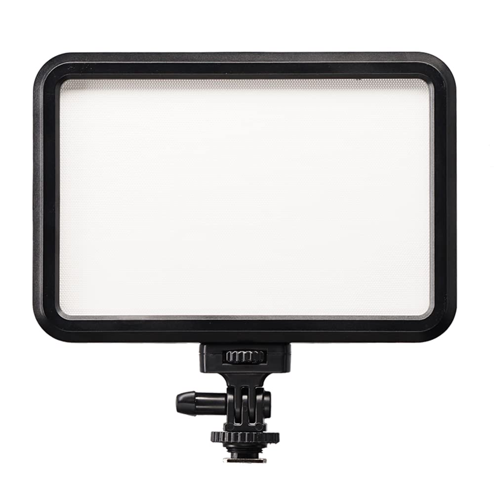 Bresser Antorcha Vídeo LED BR-12B Bi-Color, Negro