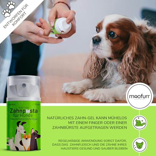 Moofurr-Dog-Toothpaste-Tartar-Remover-Dog-Natural-Dental-Care-Against-Plaque-Toothpaste-for-Dogs-with-Magnolia-Bark-Dental-Care-Dog-Gel-75-ml