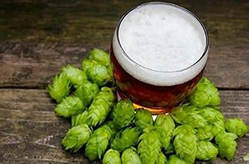 Citra Whole Leaf Hops