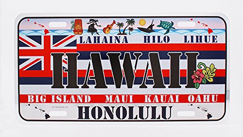 Dimension 9 Home Decorative Plate, Hawaii