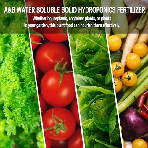Nutrientes Hidropónicos 800 ml A y B para Plantas miniatura 6