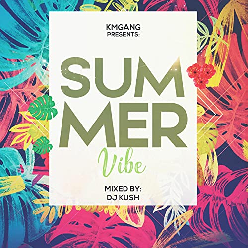 DJ Kush - Summer Vibe Mix
