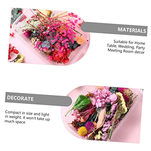 Set de Flores Secas DIY 10 Flores Naturales para Manualidades miniatura 7