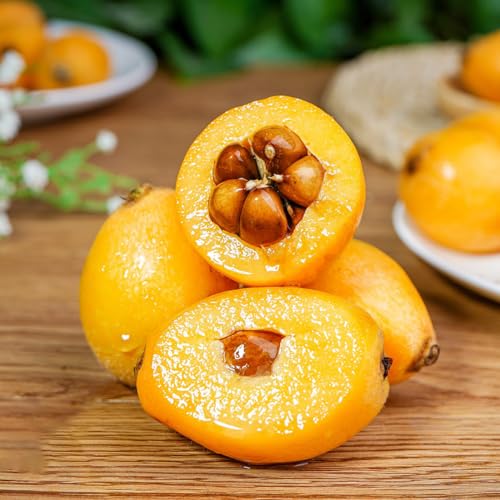 30 piezas semillas de fruta de níspero, fruta de semilla, invernadero interior Níspero japonés - Eriobotrya japonica - semillas de variedades antiguas, lecho elevado de jardín invernadero